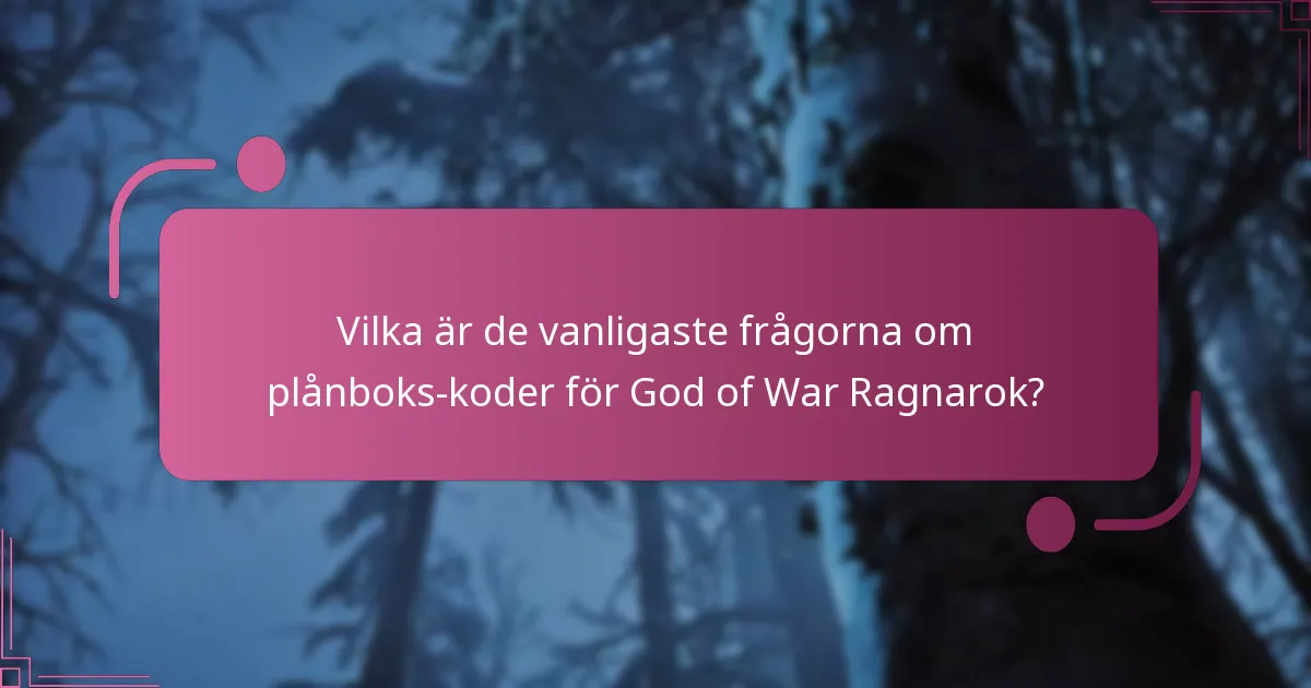 Vilka visuella hjälpmedel kan hjälpa till med processen för att ange plånboks-koder?